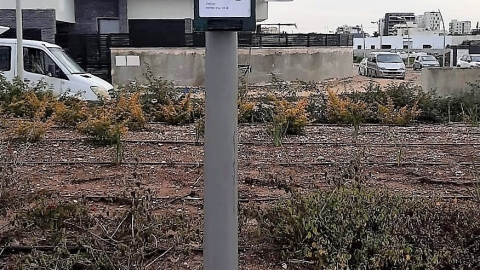 עמודים בכל העיר.jpg