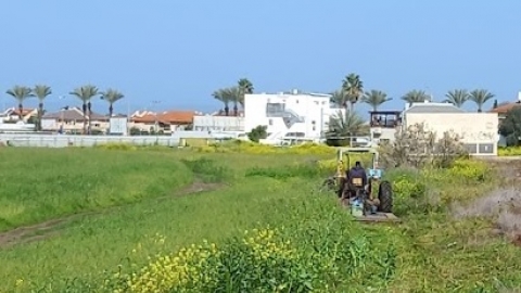 נכוש עשבים.jpg