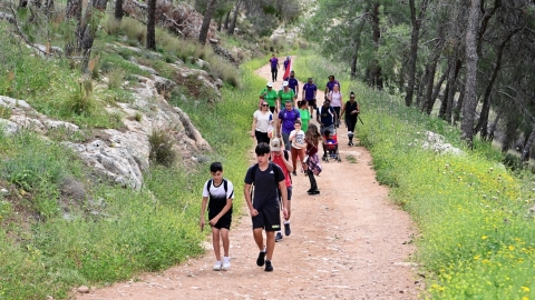 צעדת גבעת המורה.JPG