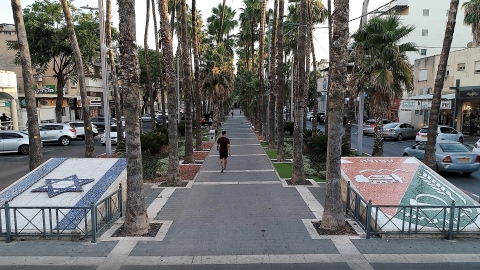 הדגל השגוי.jpg