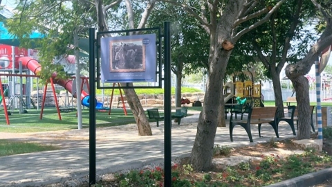 התערוכה הפתוחה שהוצבה השבוע.jpg