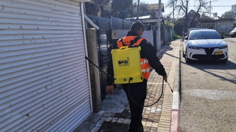 ריסוסים.jpg