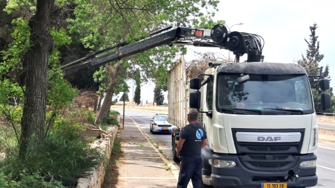 פינוי גזם.jpg